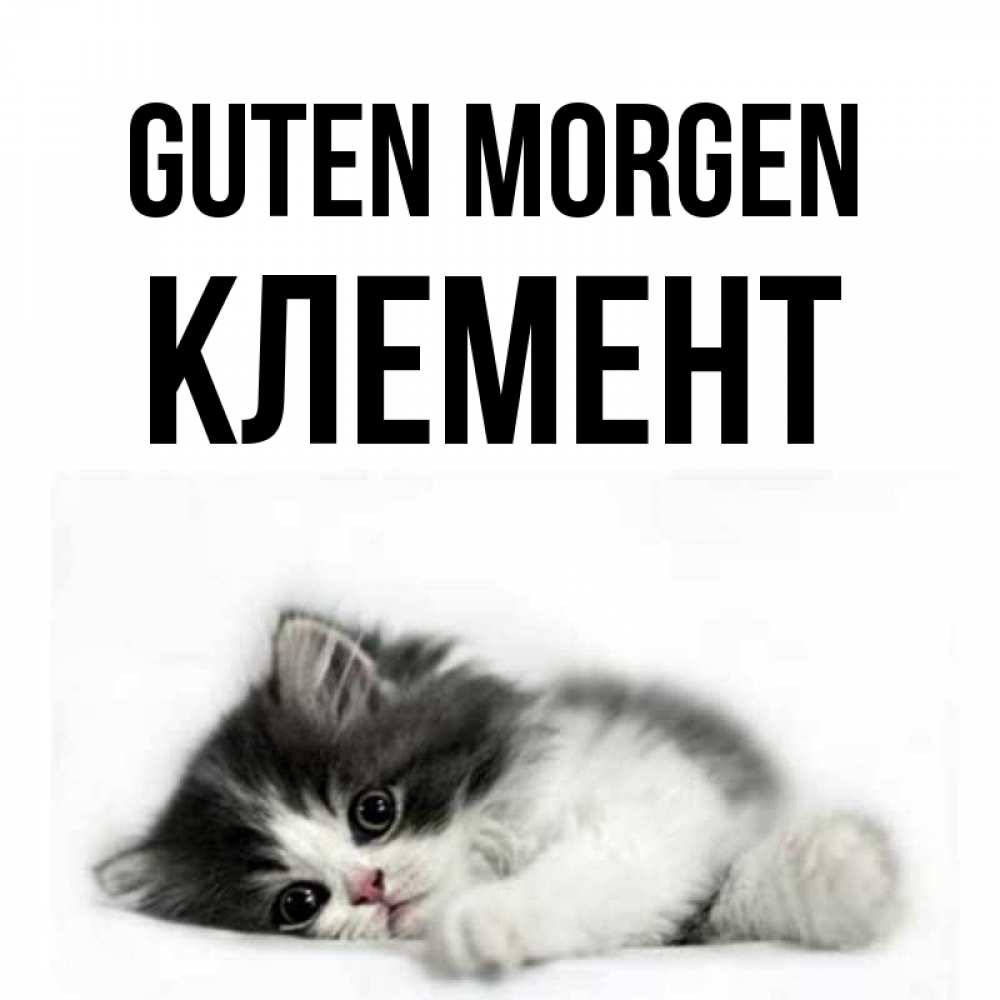 Открытка на каждый день с именем, Клемент Guten Morgen кот лапки Прикольная открытка с пожеланием онлайн скачать бесплатно 