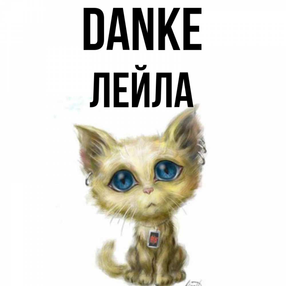 Открытка на каждый день с именем, Лейла Danke рисованный кот благодарит вас Прикольная открытка с пожеланием онлайн скачать бесплатно 