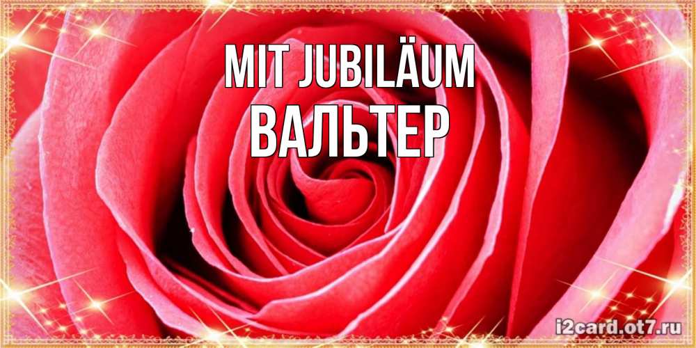 Открытка на каждый день с именем, Вальтер Mit Jubiläum розовая роза очень крупный бутон Прикольная открытка с пожеланием онлайн скачать бесплатно 
