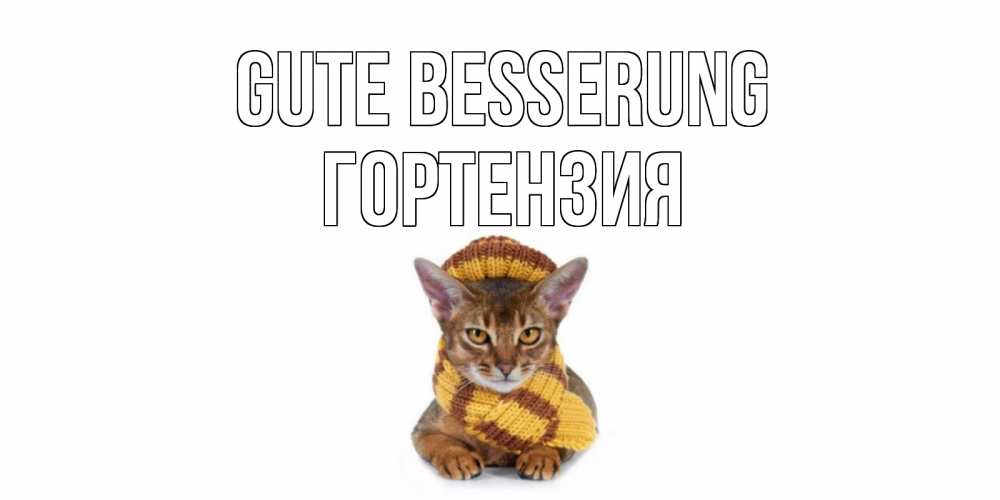 Открытка на каждый день с именем, Гортензия Gute Besserung родные не болейте Прикольная открытка с пожеланием онлайн скачать бесплатно 