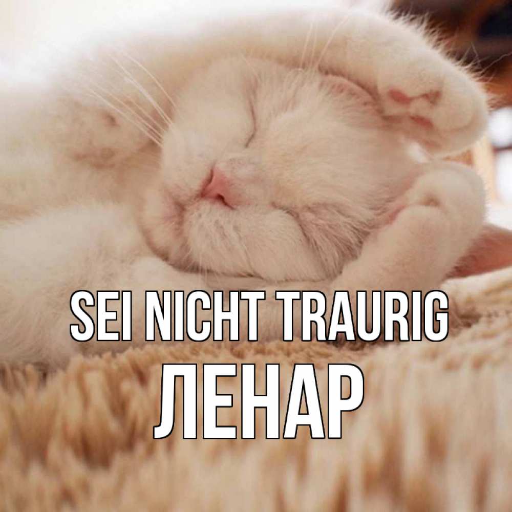 Открытка на каждый день с именем, Ленар Sei nicht traurig белый кот Прикольная открытка с пожеланием онлайн скачать бесплатно 