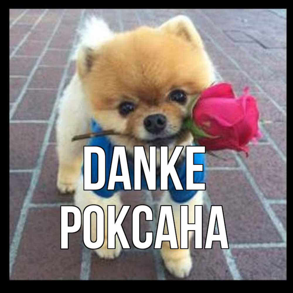 Открытка на каждый день с именем, Роксана Danke спасибо и дарю тебе цветок Прикольная открытка с пожеланием онлайн скачать бесплатно 