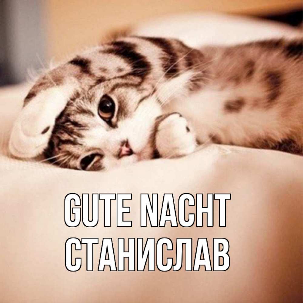Открытка на каждый день с именем, Станислав Gute Nacht сладких снов с животными Прикольная открытка с пожеланием онлайн скачать бесплатно 