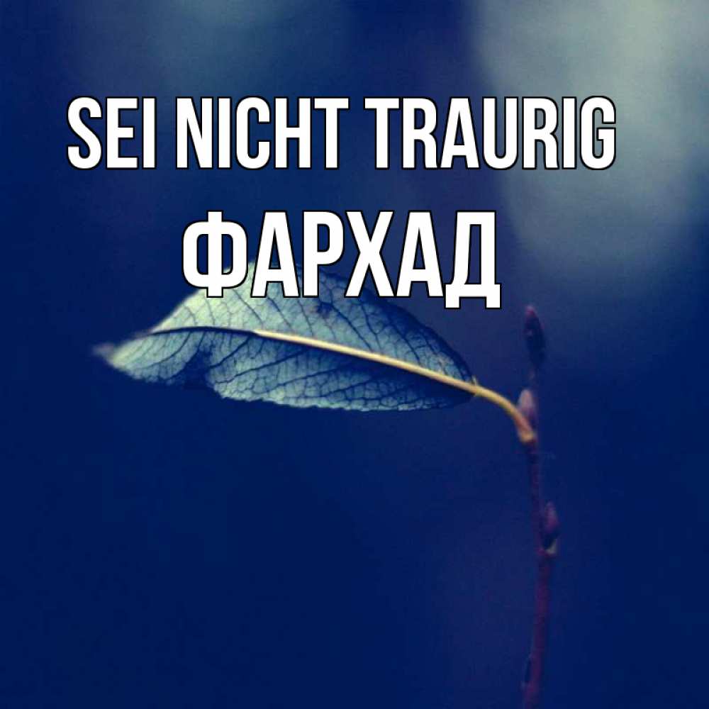 Открытка на каждый день с именем, Фархад Sei nicht traurig растение Прикольная открытка с пожеланием онлайн скачать бесплатно 