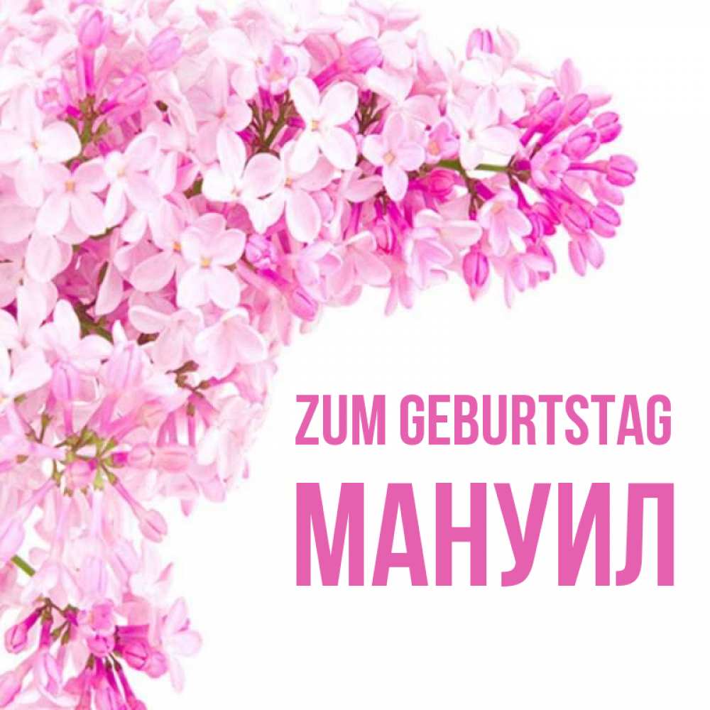 Открытка на каждый день с именем, Мануил Zum Geburtstag Сирень на белом фоне Прикольная открытка с пожеланием онлайн скачать бесплатно 