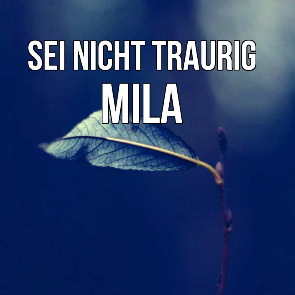 Открытка на каждый день с именем, Mila Sei nicht traurig растение Прикольная открытка с пожеланием онлайн скачать бесплатно 