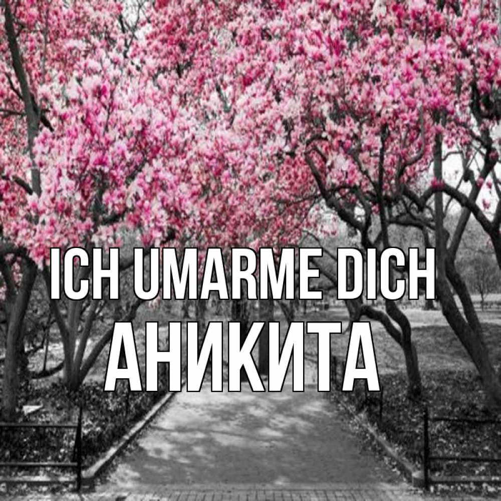 Открытка на каждый день с именем, Аникита Ich umarme dich обработанное фото Прикольная открытка с пожеланием онлайн скачать бесплатно 