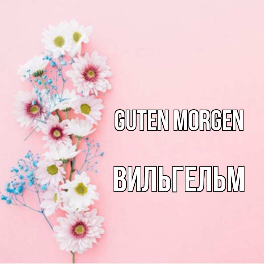 Открытка на каждый день с именем, Вильгельм Guten Morgen цветы с подписью Прикольная открытка с пожеланием онлайн скачать бесплатно 