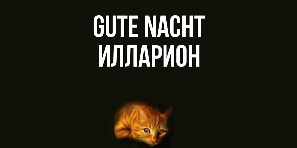 Открытка на каждый день с именем, Илларион Gute Nacht кот Прикольная открытка с пожеланием онлайн скачать бесплатно 