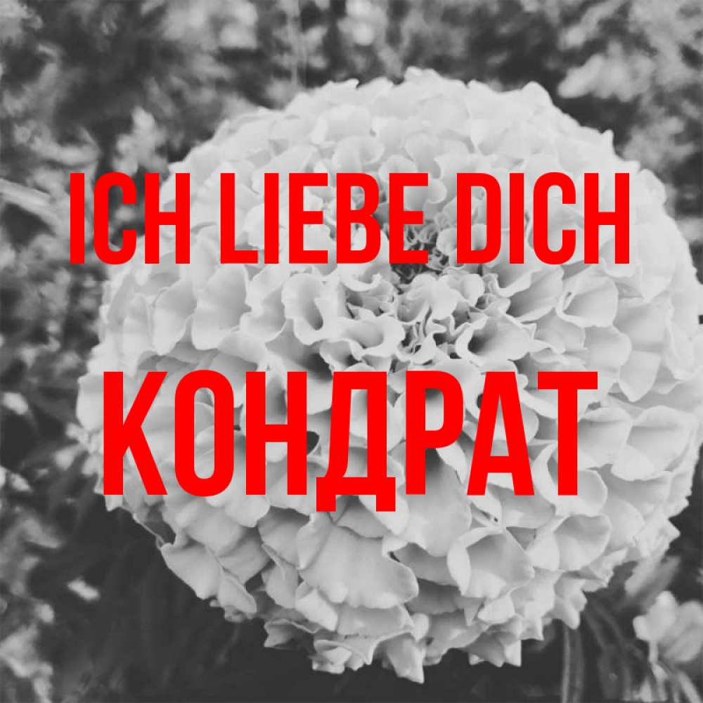 Открытка на каждый день с именем, Кондрат Ich liebe dich подпись Прикольная открытка с пожеланием онлайн скачать бесплатно 