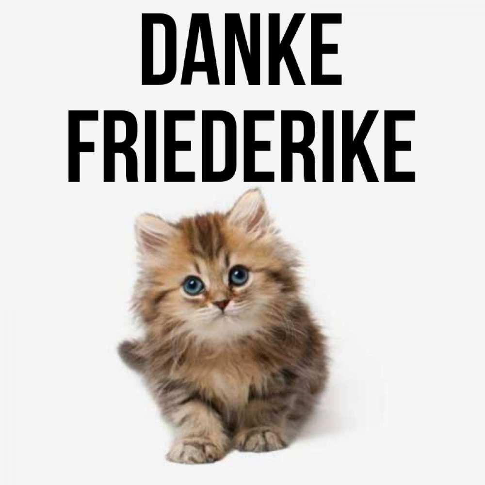Открытка на каждый день с именем, Friederike Danke пушистый котик Прикольная открытка с пожеланием онлайн скачать бесплатно 