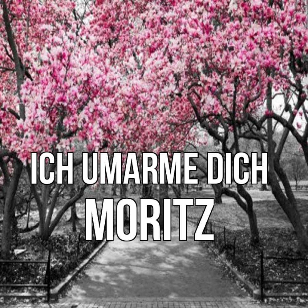 Открытка на каждый день с именем, Moritz Ich umarme dich обработанное фото Прикольная открытка с пожеланием онлайн скачать бесплатно 