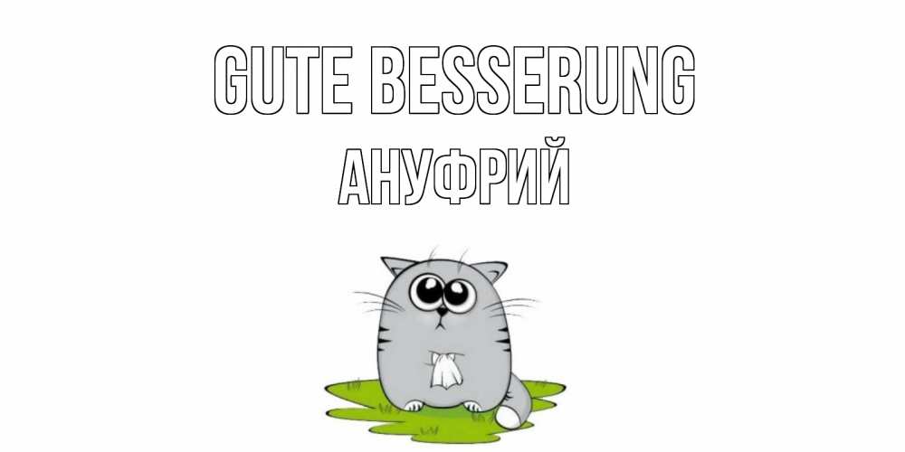 Открытка на каждый день с именем, Ануфрий Gute Besserung кот и открытки про выздоровление Прикольная открытка с пожеланием онлайн скачать бесплатно 