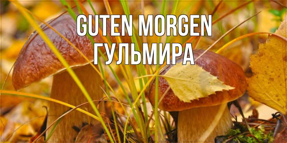 Открытка на каждый день с именем, Гульмира Guten Morgen осенние грибы Прикольная открытка с пожеланием онлайн скачать бесплатно 