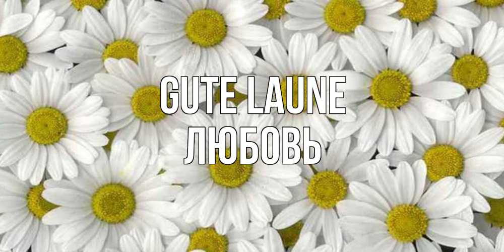 Открытка на каждый день с именем, Любовь Gute Laune поляна ромашек Прикольная открытка с пожеланием онлайн скачать бесплатно 
