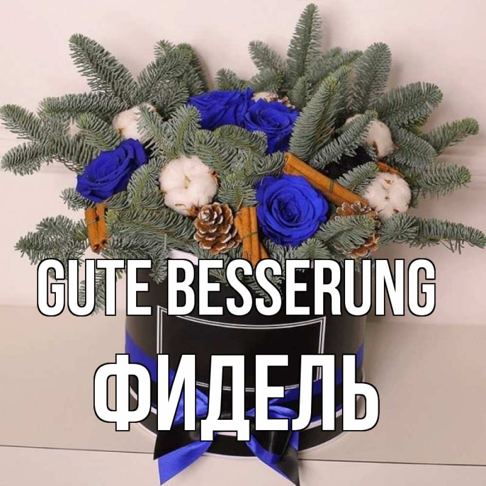 Открытка на каждый день с именем, Фидель Gute Besserung короче кто то загрузил эти шишки Прикольная открытка с пожеланием онлайн скачать бесплатно 