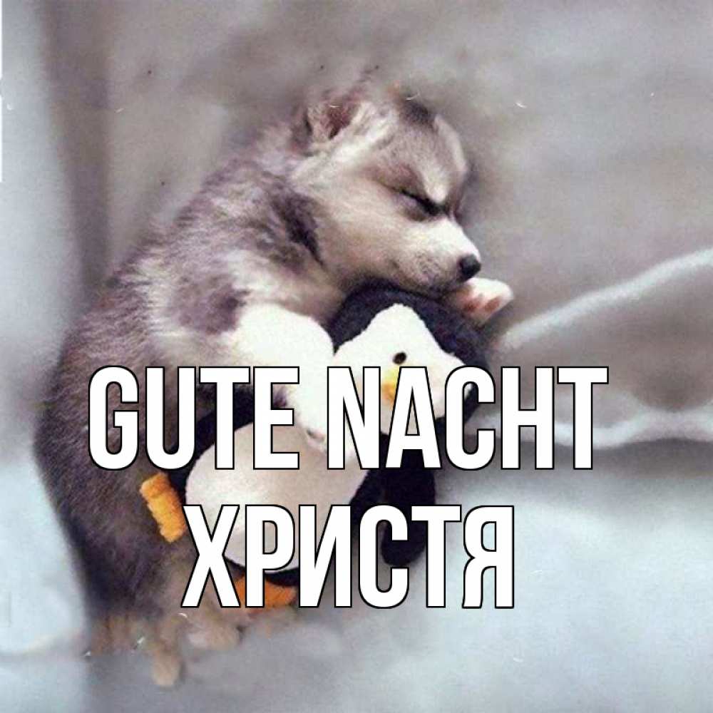 Открытка на каждый день с именем, Христя Gute Nacht обнимашки щенка и пингвина Прикольная открытка с пожеланием онлайн скачать бесплатно 