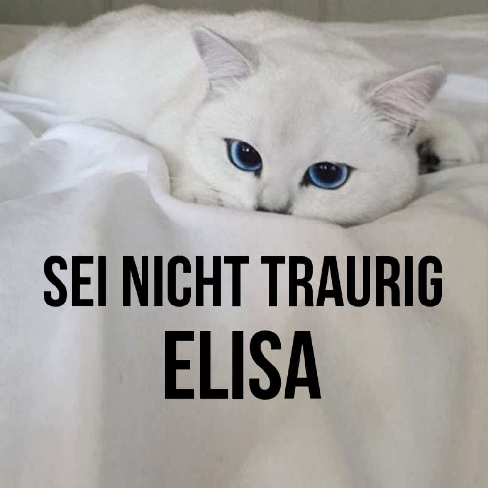 Открытка на каждый день с именем, Elisa Sei nicht traurig Голубоглазая кошка Прикольная открытка с пожеланием онлайн скачать бесплатно 