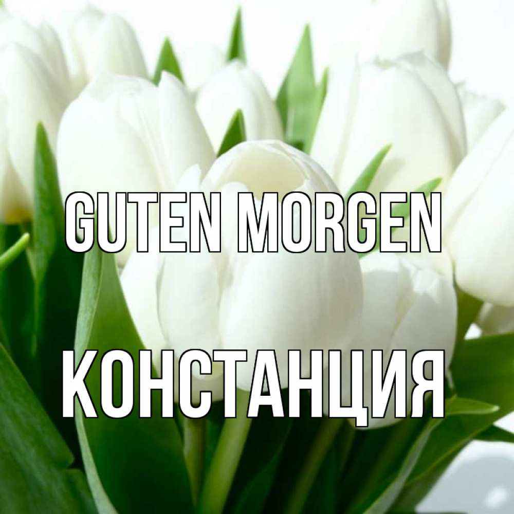 Открытка на каждый день с именем, Констанция Guten Morgen открытки на каждый день по именам Прикольная открытка с пожеланием онлайн скачать бесплатно 