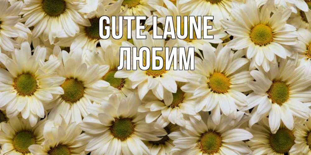 Открытка на каждый день с именем, Любим Gute Laune крупные ромашки Прикольная открытка с пожеланием онлайн скачать бесплатно 