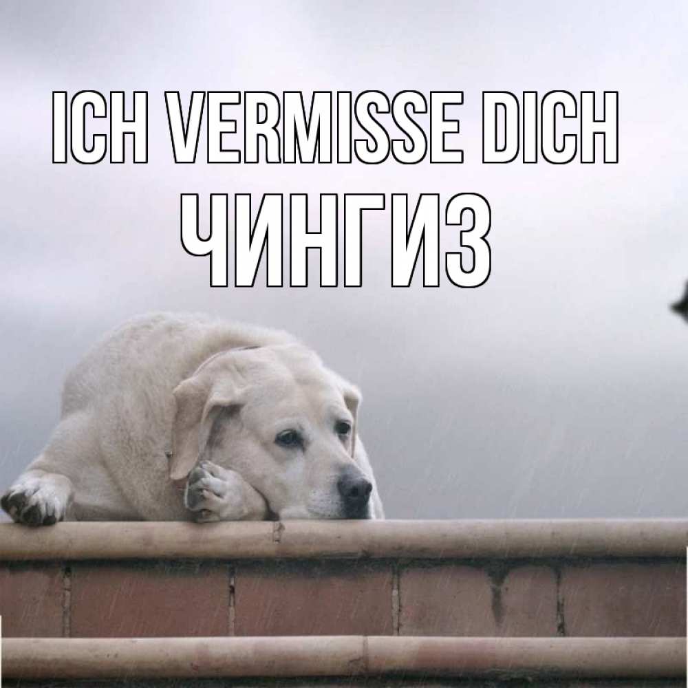 Открытка на каждый день с именем, Чингиз Ich vermisse dich ждет Прикольная открытка с пожеланием онлайн скачать бесплатно 