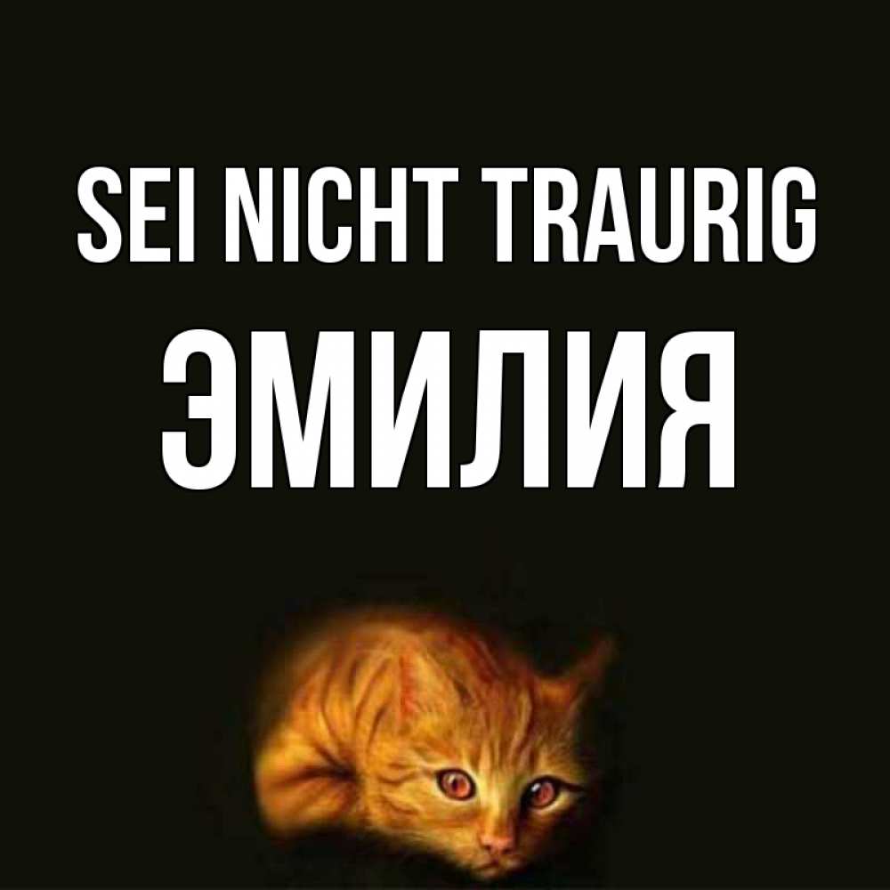 Открытка на каждый день с именем, Эмилия Sei nicht traurig лежащий кот в темноте Прикольная открытка с пожеланием онлайн скачать бесплатно 
