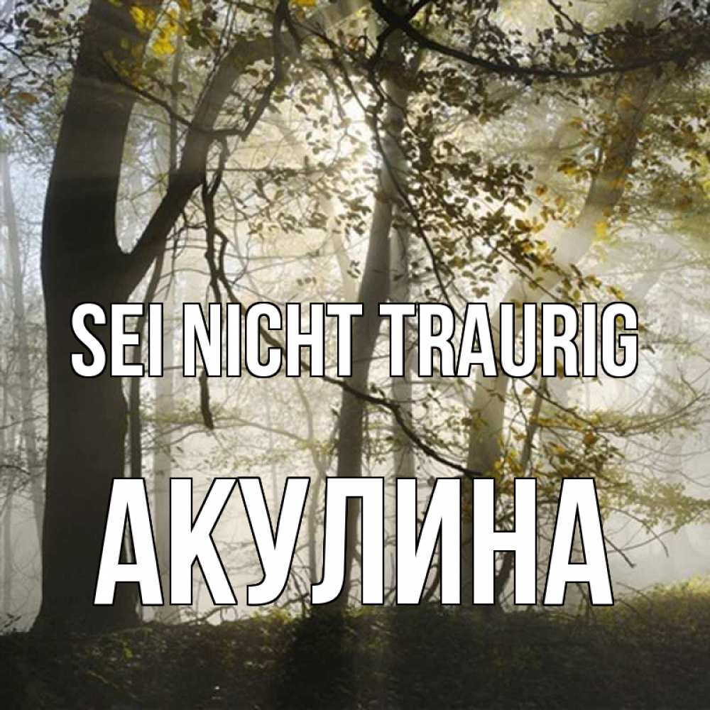 Открытка на каждый день с именем, Акулина Sei nicht traurig лес и свет Прикольная открытка с пожеланием онлайн скачать бесплатно 