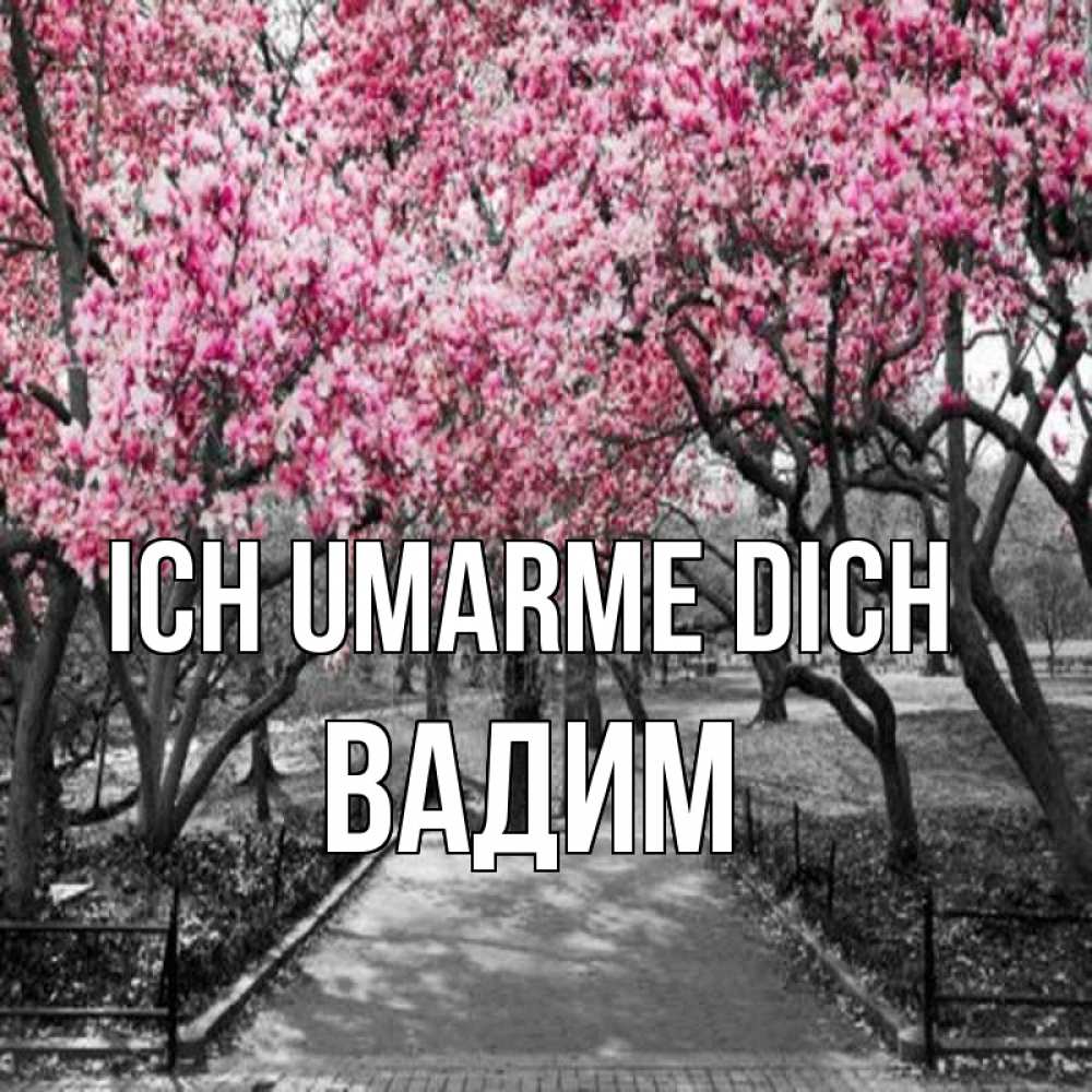 Открытка на каждый день с именем, Вадим Ich umarme dich обработанное фото Прикольная открытка с пожеланием онлайн скачать бесплатно 