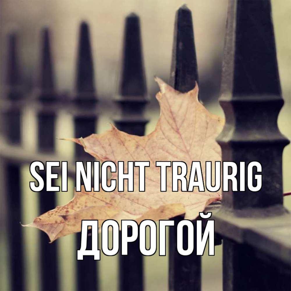 Открытка на каждый день с именем, Дорогой Sei nicht traurig лист клена Прикольная открытка с пожеланием онлайн скачать бесплатно 