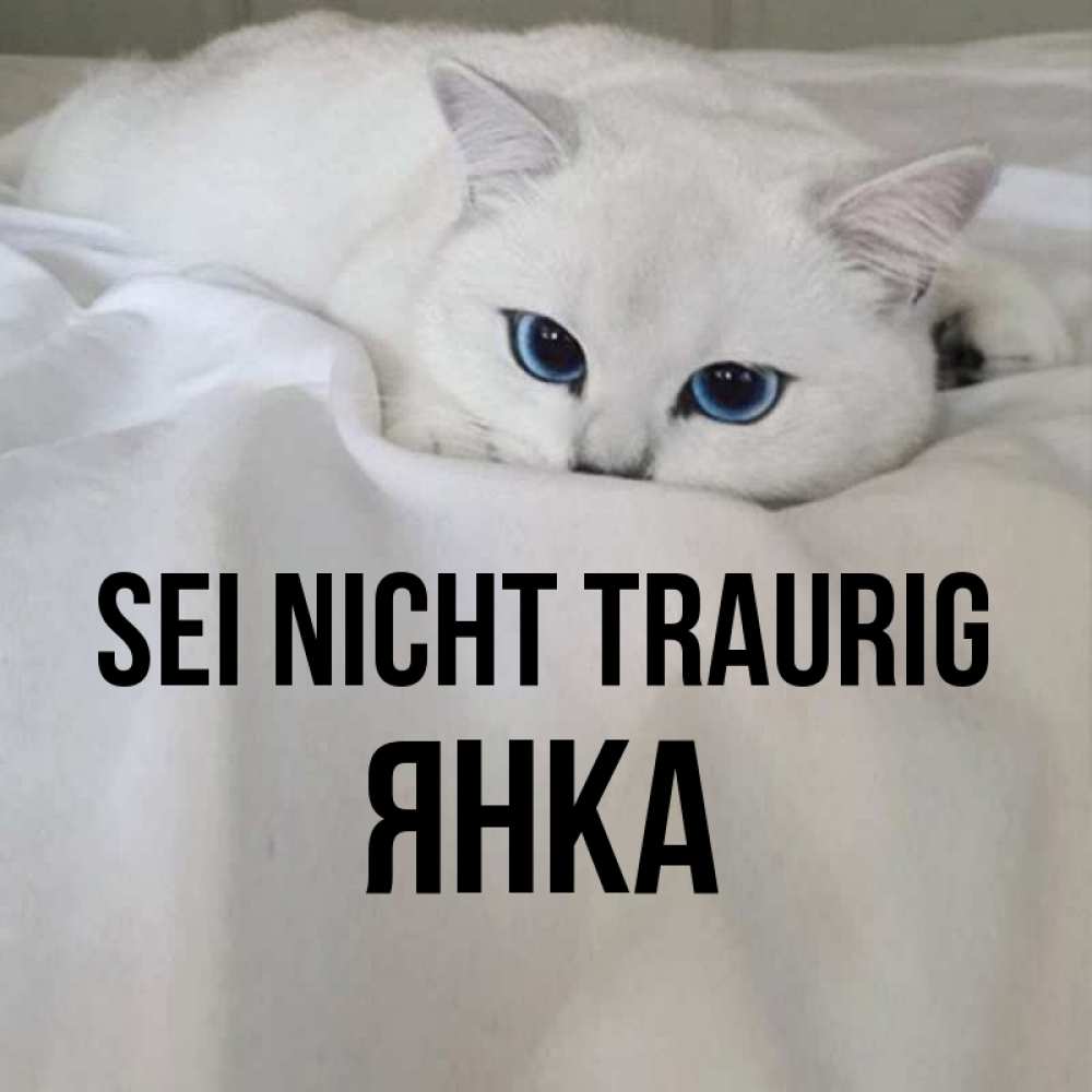 Открытка на каждый день с именем, Янка Sei nicht traurig Голубоглазая кошка Прикольная открытка с пожеланием онлайн скачать бесплатно 