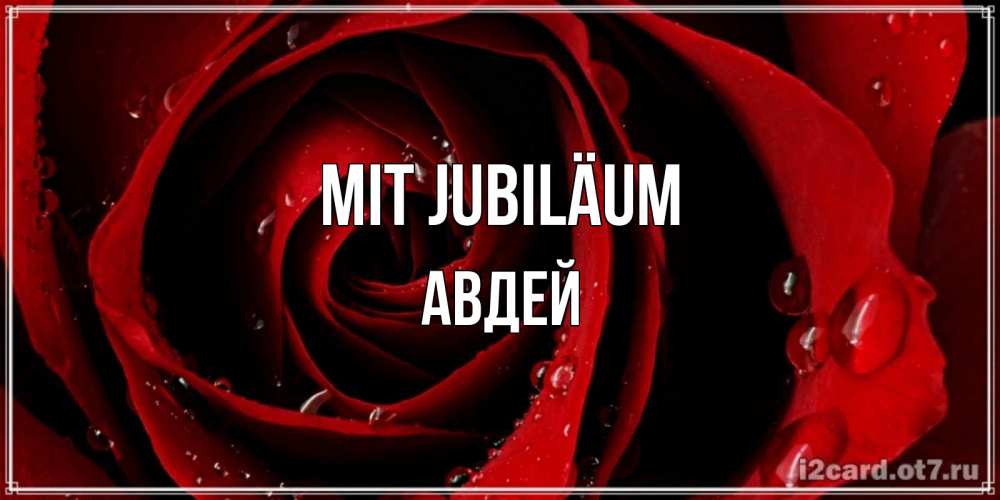 Открытка на каждый день с именем, Авдей Mit Jubiläum крупная бордовая роза Прикольная открытка с пожеланием онлайн скачать бесплатно 