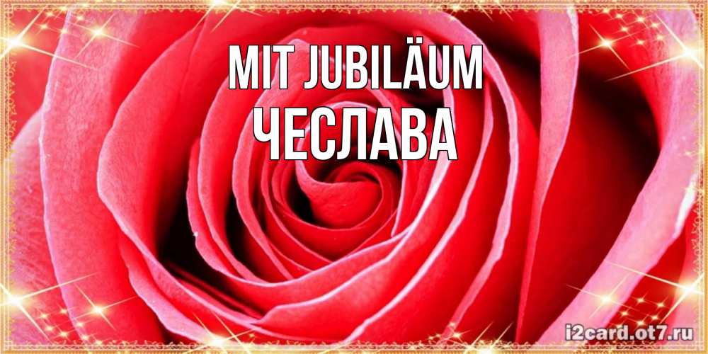 Открытка на каждый день с именем, Чеслава Mit Jubiläum розовая роза очень крупный бутон Прикольная открытка с пожеланием онлайн скачать бесплатно 