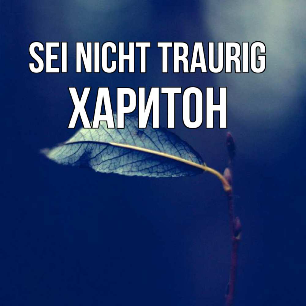 Открытка на каждый день с именем, Харитон Sei nicht traurig растение Прикольная открытка с пожеланием онлайн скачать бесплатно 