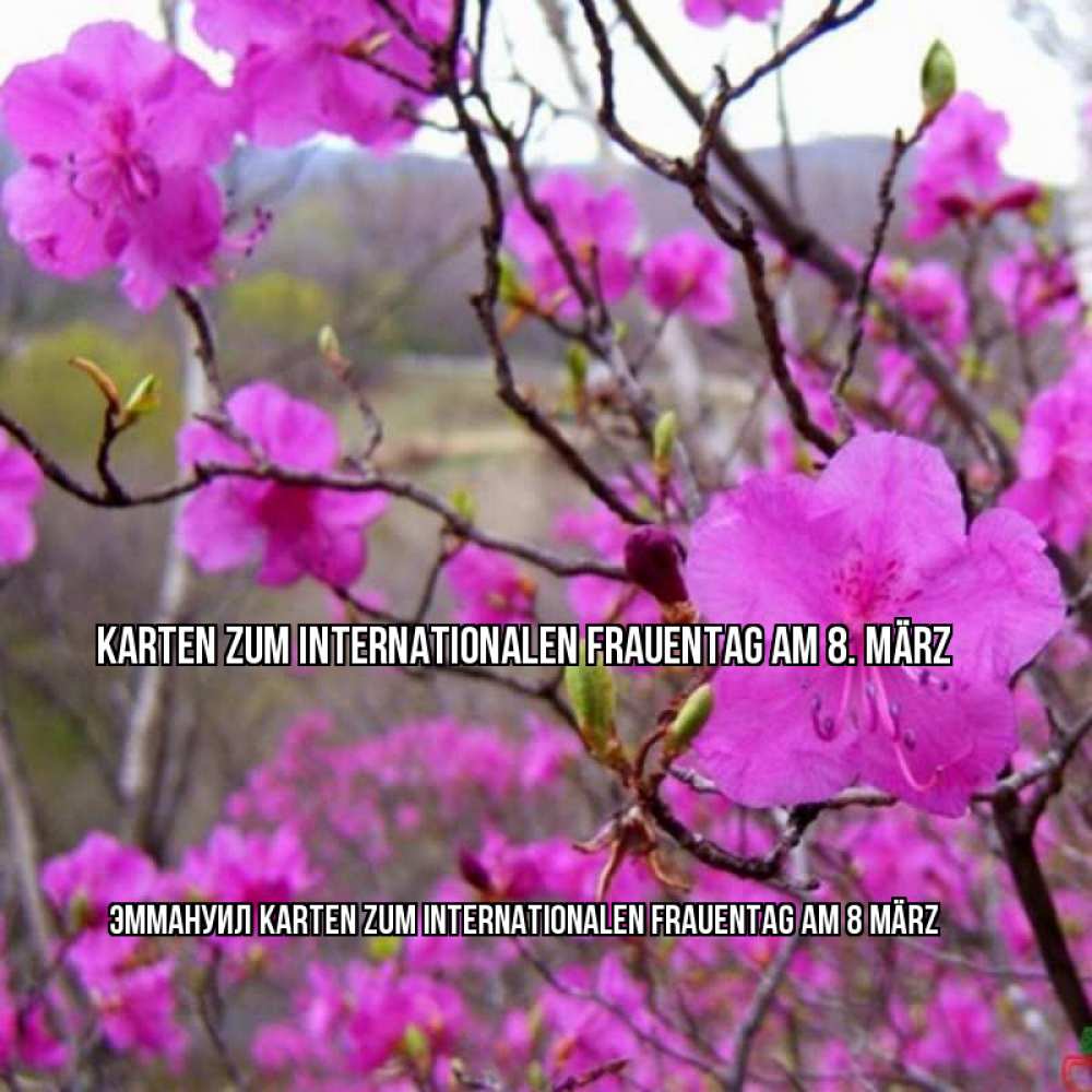 Картинка Karten zum Internationalen Frauentag am 8. März, Эммануил