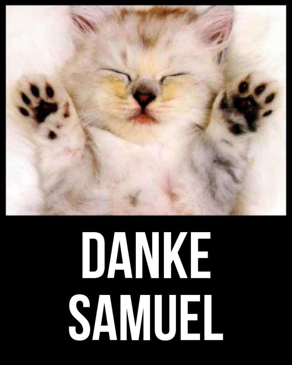 Открытка на каждый день с именем, Samuel Danke маленький котенок Прикольная открытка с пожеланием онлайн скачать бесплатно 