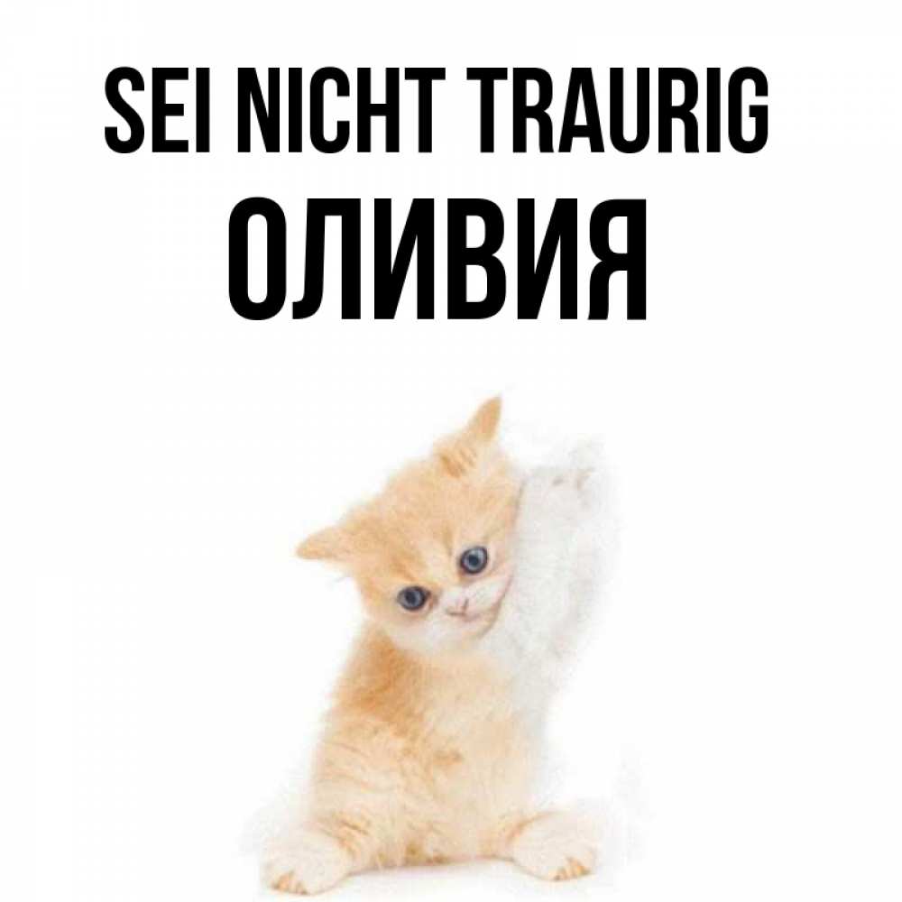 Открытка на каждый день с именем, Оливия Sei nicht traurig просящий кот Прикольная открытка с пожеланием онлайн скачать бесплатно 