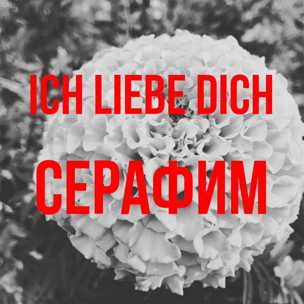 Открытка на каждый день с именем, Серафим Ich liebe dich подпись Прикольная открытка с пожеланием онлайн скачать бесплатно 