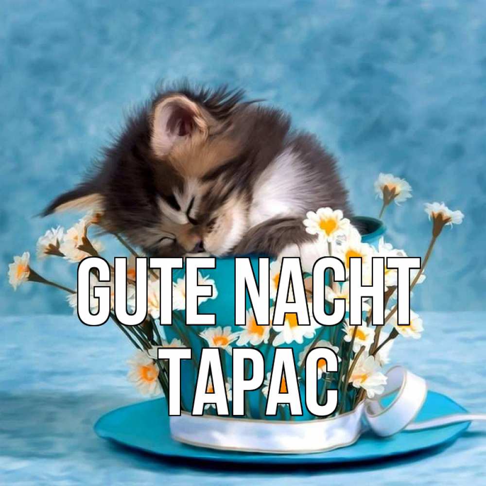 Открытка на каждый день с именем, Тарас Gute Nacht котенок спит в кружке с блюдцем Прикольная открытка с пожеланием онлайн скачать бесплатно 