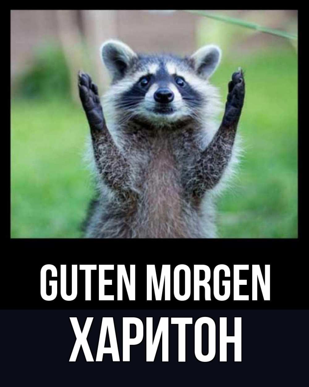 Открытка на каждый день с именем, Харитон Guten Morgen хорошее настроение утречком Прикольная открытка с пожеланием онлайн скачать бесплатно 