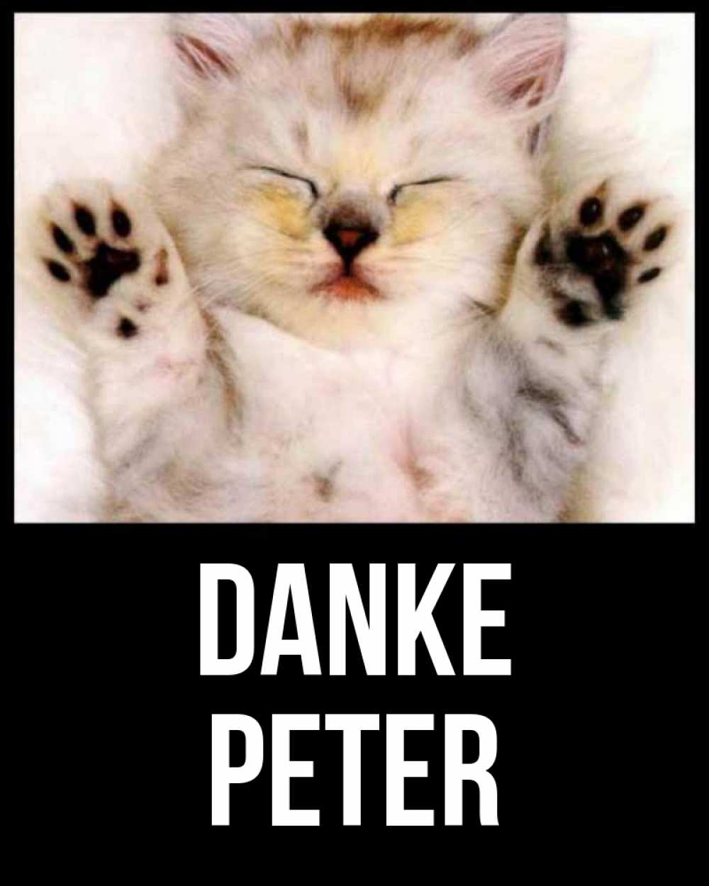 Открытка на каждый день с именем, Peter Danke маленький котенок Прикольная открытка с пожеланием онлайн скачать бесплатно 