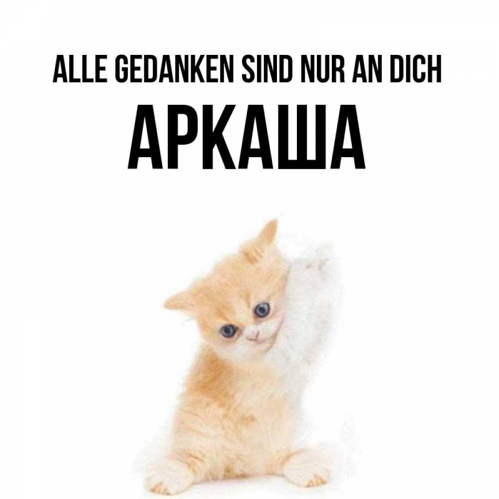 Открытка на каждый день с именем, Аркаша Alle Gedanken sind nur an dich зверушки и милота Прикольная открытка с пожеланием онлайн скачать бесплатно 