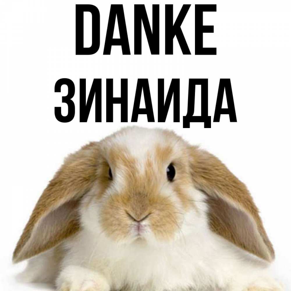 Открытка на каждый день с именем, Зинаида Danke коричнево белый заяц Прикольная открытка с пожеланием онлайн скачать бесплатно 