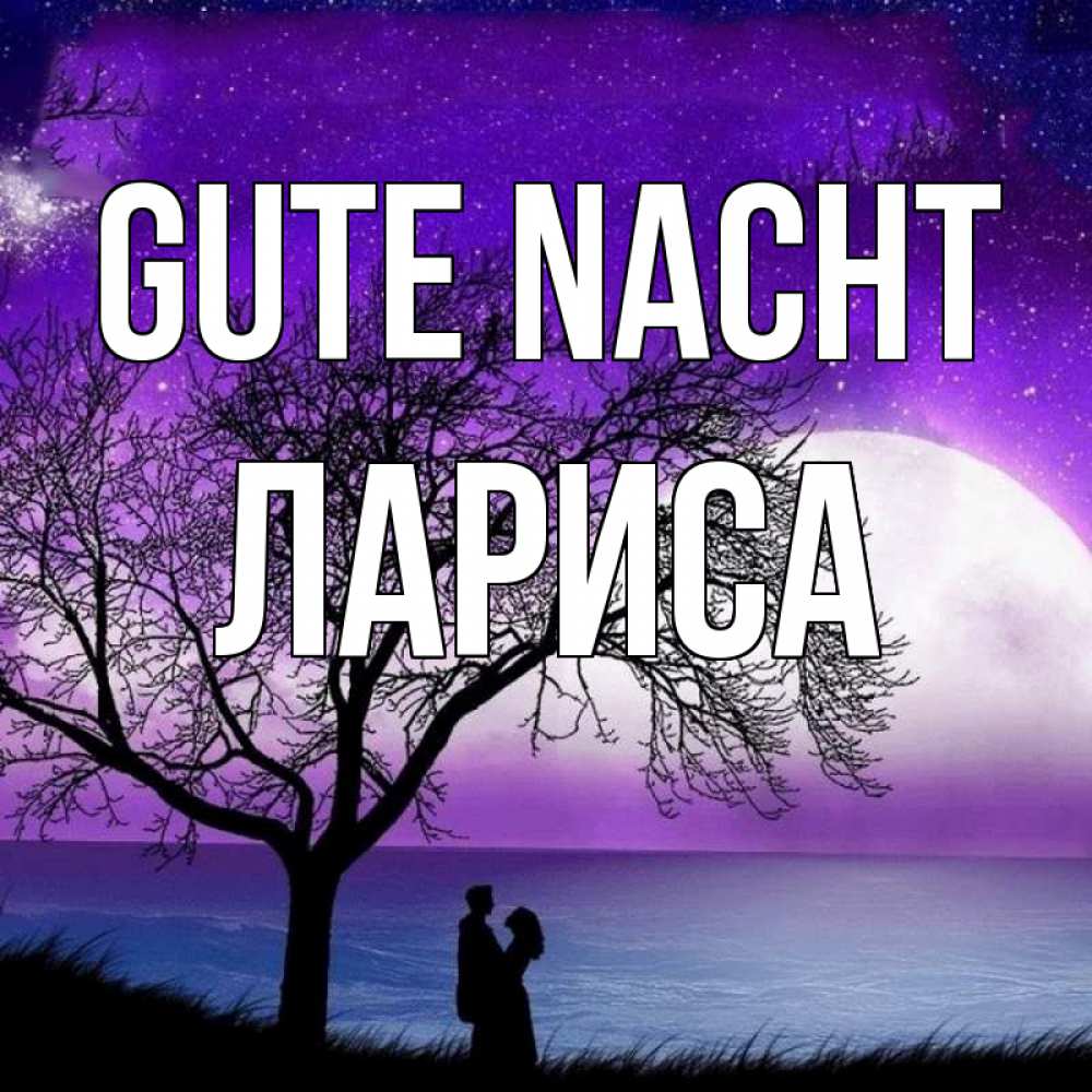 Открытка на каждый день с именем, Лариса Gute Nacht огромная луна и парочка Прикольная открытка с пожеланием онлайн скачать бесплатно 