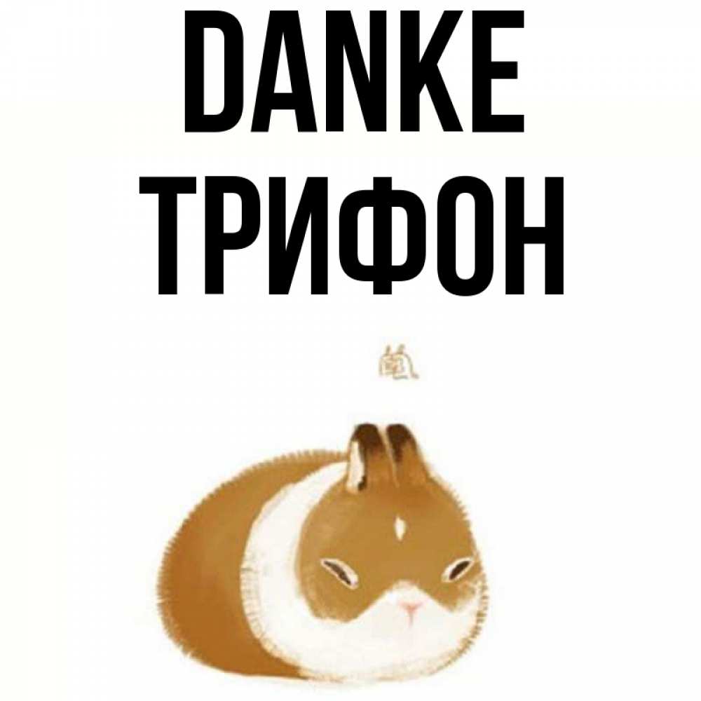 Открытка на каждый день с именем, Трифон Danke коричнево белый домашний питомец Прикольная открытка с пожеланием онлайн скачать бесплатно 