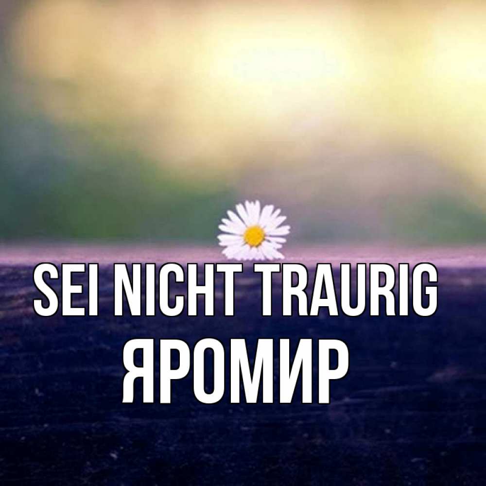 Открытка на каждый день с именем, Яромир Sei nicht traurig красота Прикольная открытка с пожеланием онлайн скачать бесплатно 