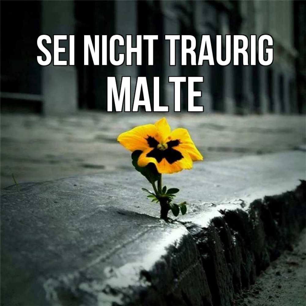 Открытка на каждый день с именем, Malte Sei nicht traurig не сдавайся Прикольная открытка с пожеланием онлайн скачать бесплатно 