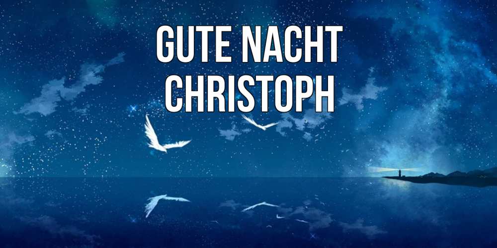 Открытка на каждый день с именем, Christoph Gute Nacht птицы летят на фоне ночного неба Прикольная открытка с пожеланием онлайн скачать бесплатно 