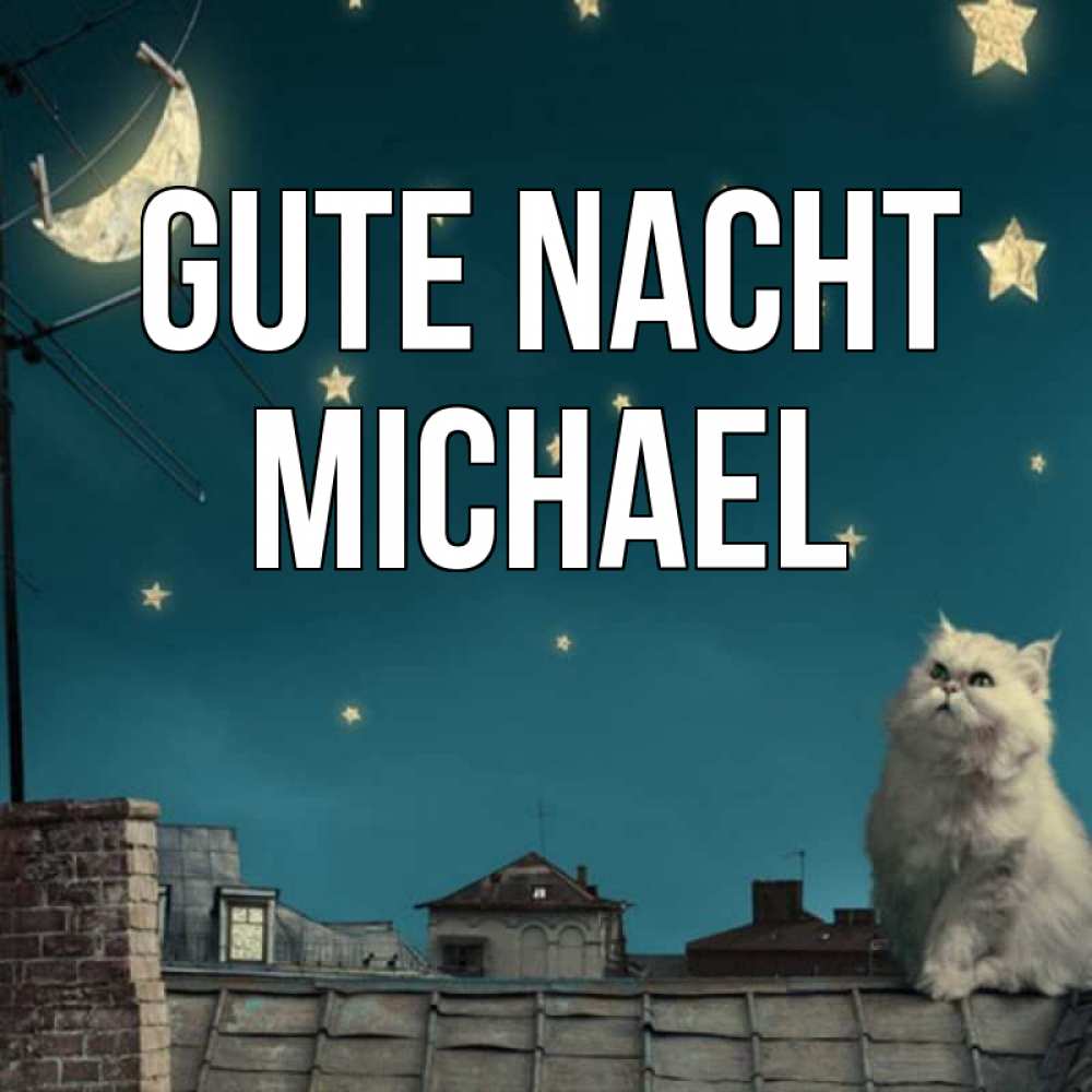 Открытка на каждый день с именем, Michael Gute Nacht белый кот сидит на крыше Прикольная открытка с пожеланием онлайн скачать бесплатно 