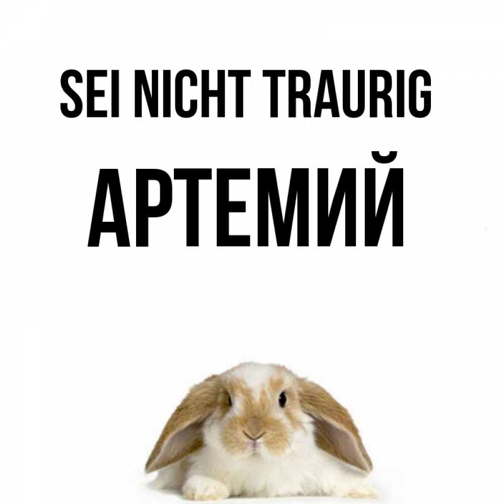 Открытка на каждый день с именем, Артемий Sei nicht traurig коричнево белый заяц с большими ушками Прикольная открытка с пожеланием онлайн скачать бесплатно 