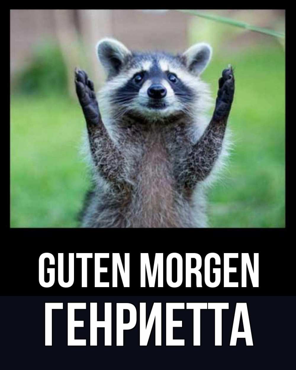 Открытка на каждый день с именем, Генриетта Guten Morgen хорошее настроение утречком Прикольная открытка с пожеланием онлайн скачать бесплатно 